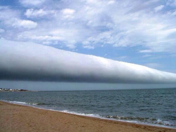 WTFLifeFacts's tweet image. A roll cloud is one of the rarest natural phenomena