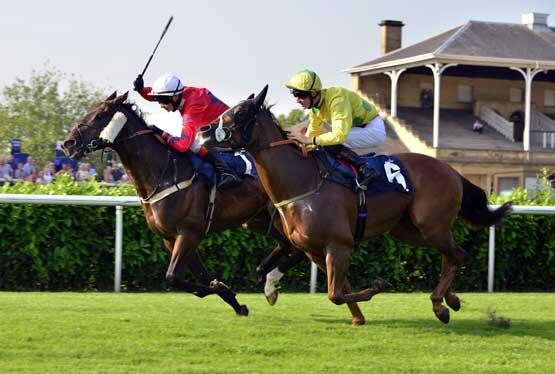 TheAnnwell's tweet photo. @EoinWalsh3 photos of irish boy winning at donny added to the profile of @TheAnnwell http://t.co/TKDhI9LGo7