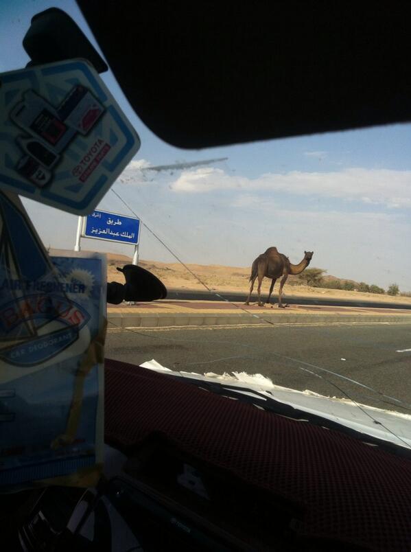 boitl29's tweet photo. http://t.co/yxPTZxc8YB