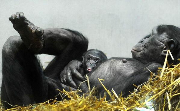PHOTO: Today's photo editor's choice GALLERY theage.com.au/photogallery/w…