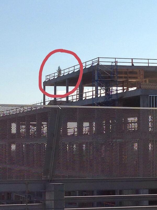 THE UT Dallas tweet media