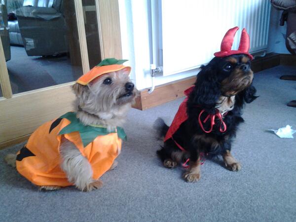 ComKitkitkat's tweet image. With my mate ruben dressing up !