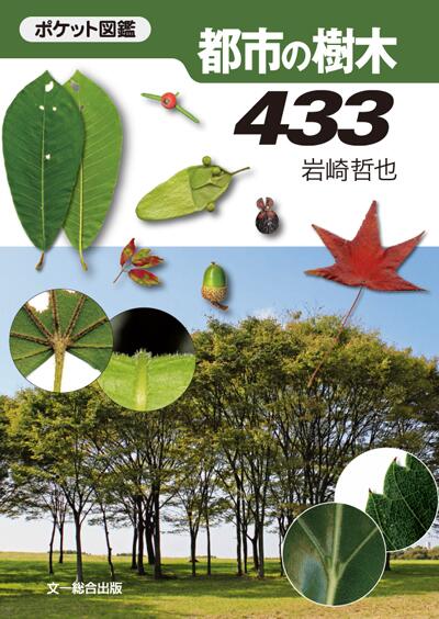 文一総合出版 公式 つ 新刊続々発売中 おすすめ書籍 ポケット図鑑 都市の樹木433 都市で街路樹や庭木として植樹されている樹木を紹介 葉や花を目で見て識別する方法だけでなく 匂いや手ざわりなどでも識別できるように解説