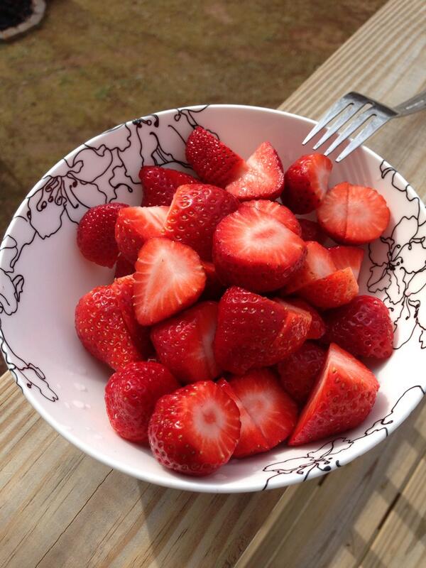 Avid Fruit tweet media