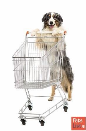 yourperfectpet's tweet photo. https://t.co/pso9n0c8nN #shopping #petindustry #petsarefamily #petslist #iloveanimals http://t.co/4mB4Xpft3X