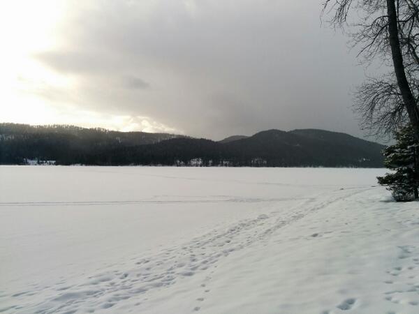 testingmarcus's tweet image. Montana 2