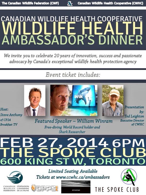 At the spoke club for Wildlife Health Ambassador Dinner