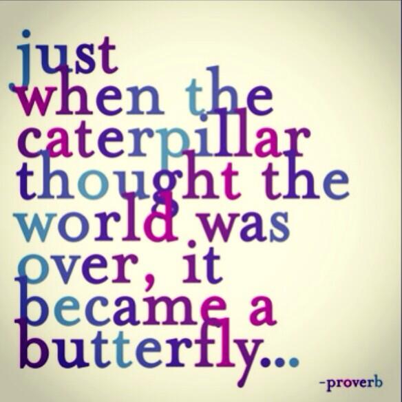 micgregger's tweet image. I wanna be a damn butterfly. Fuck being a 🐛