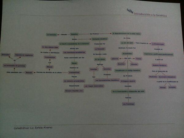LoamStephanie's tweet image. Nuestro baby terminado! Yuju!! @suannymendez #CmapTools