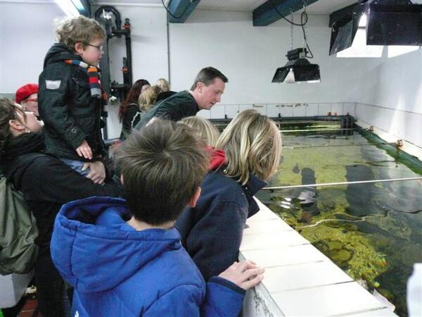 Vandaag van 13 tot 13.30 uur Kijkje achter de schermen bij het zee-aquarium. Theo voert de vissen en geeft uileg.