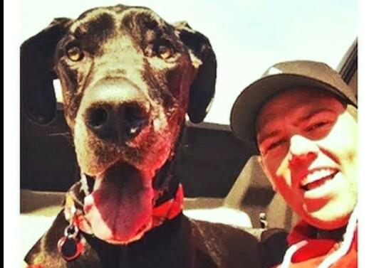 KosParanova's tweet photo. BEST MOMENT OF SHAYTARDS MALACHI!!!🐶 #5yrsofSHAYTARDS http://t.co/0H8bTE7glh