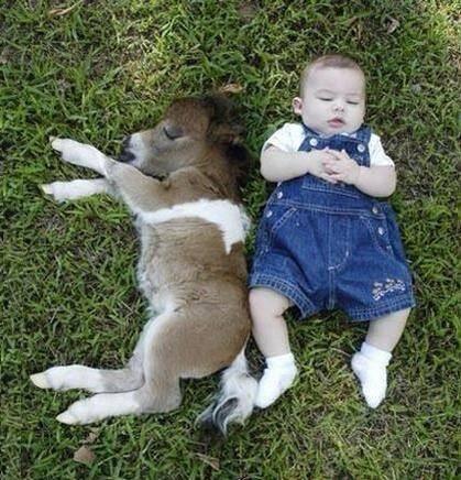 Butenko_Stable's tweet image. Доброе утречко, дорогие друзья! Просыпайтесь скорее) Сегодня пятница