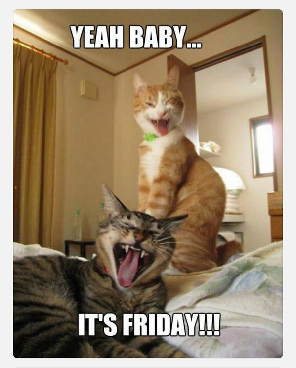 GabyHayman's tweet photo. Yessssssss!! http://t.co/DQRd4Ca6jy