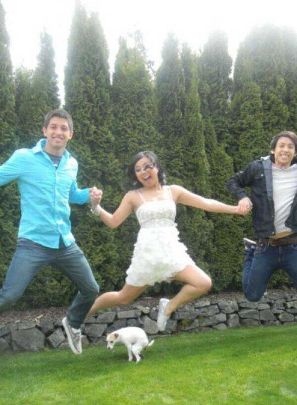 Dogsuniverse.dk tweet media