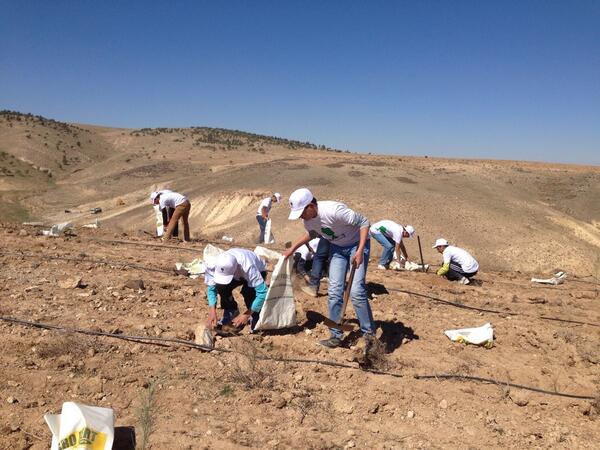 Juthoor_Prog's tweet photo. صباح الخير #الكرك #الأردن http://t.co/pfriAnNtr0