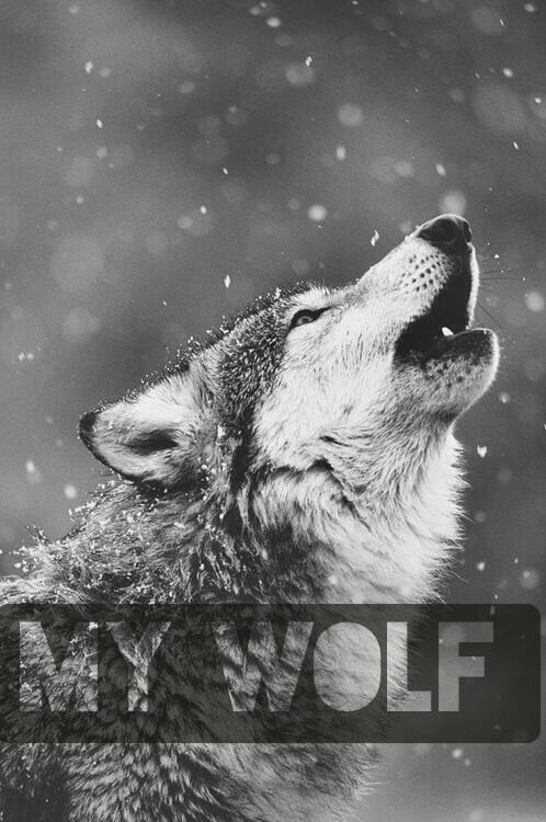 hendbinali_'s tweet image. #TextMask