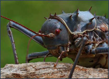 johan_vos's tweet photo. @jannas123 lyk soos iets uit 'n scifi movie http://t.co/NAnYedqVMl