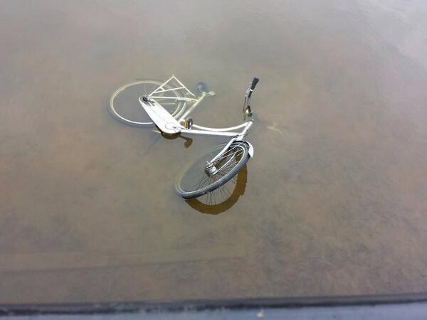 Damesfiets in de vijver aan de Kopenhagenstr. dichtbij het winkelcentr. Iemand die hem herkend of kwijt is.