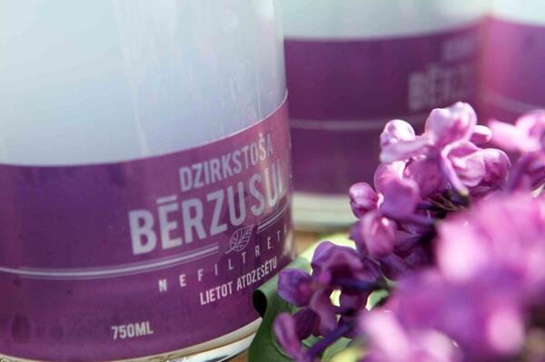 Kļavu sulas jau tek pilnā sparā. Esi pirmais, kurš nobauda dzirkstošās bērzu sulas! no <a href="/DabasDobe/">Dabas Dobe</a>