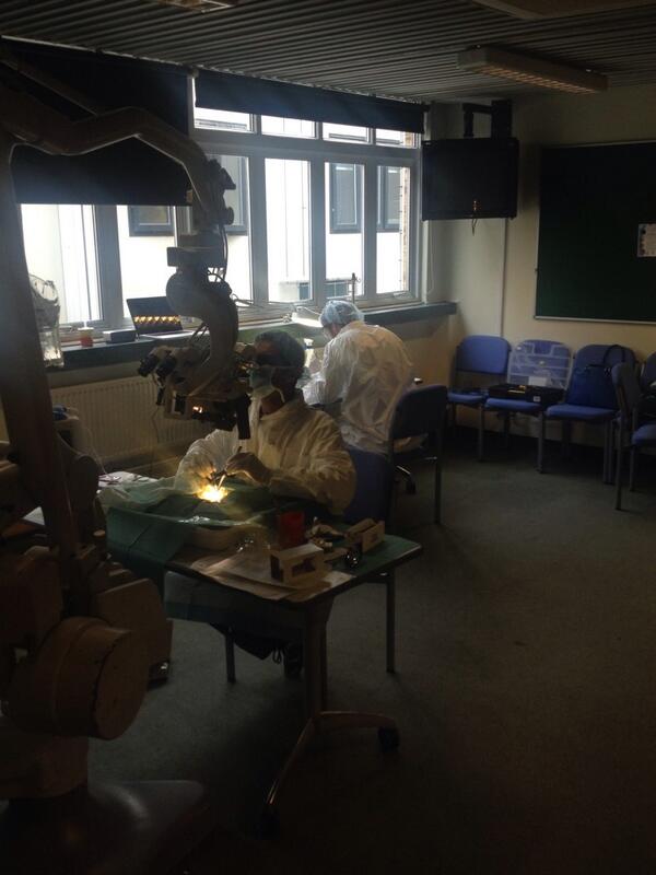 Spring Basic Training in the #ACCESS unit
