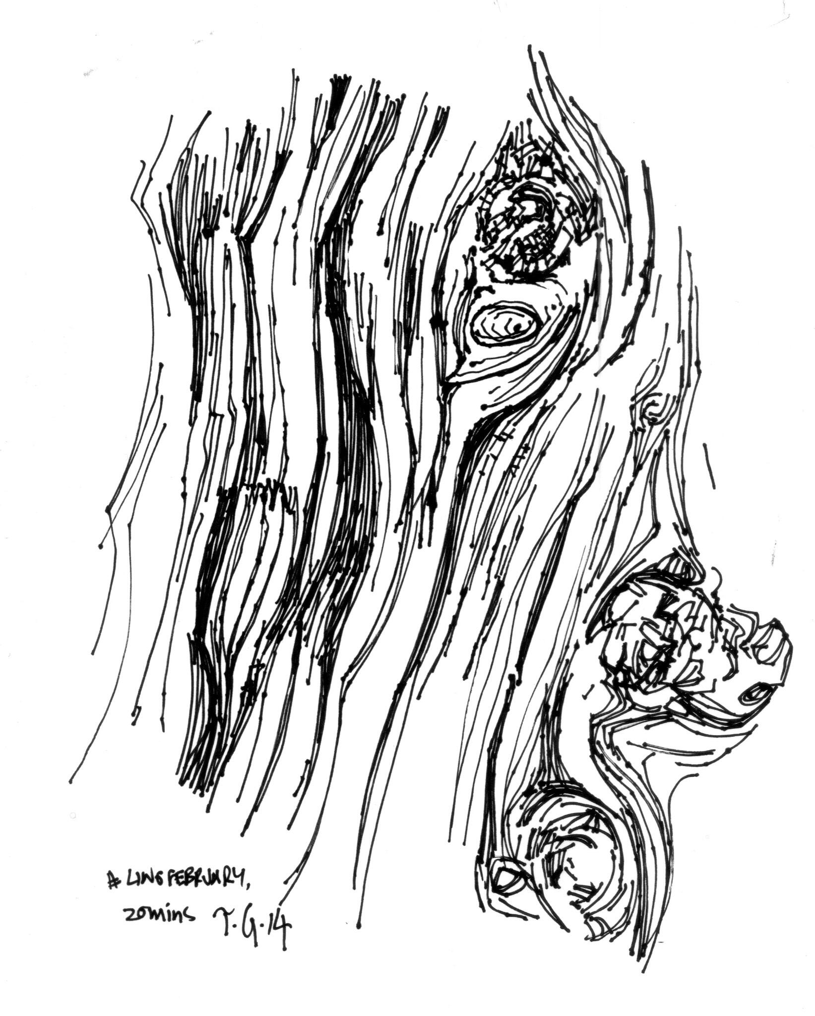 Anthony Greentree on X: #linefebruary #thedailysketch 20 min ink sketch of  some tree bark. 27/2/14  / X