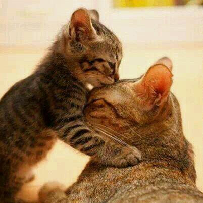 abdulrhman_noori  (@abdulrahman_132) on Twitter photo 