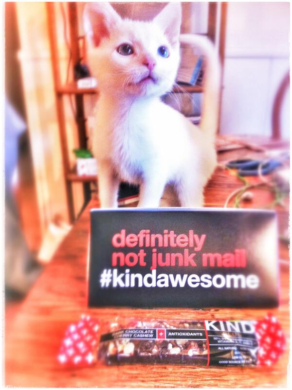 jenification's tweet image. #dtrt ADOPT. Berg says .@sdhumane + .@KINDSnacks mail = #kindawesome