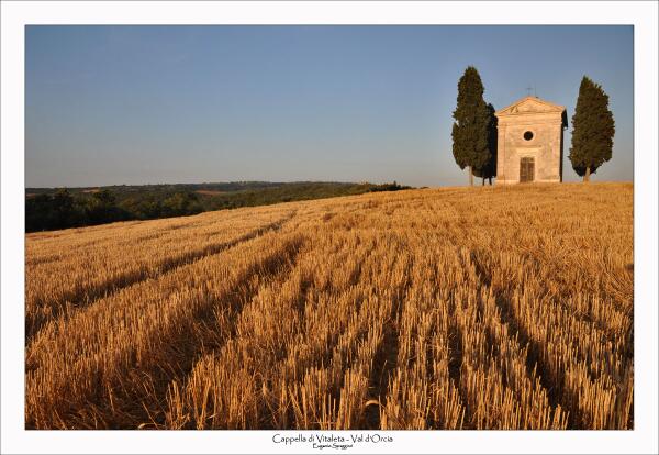 The new season is coming is time to plan your holidays in Tuscany
contact us info@lacortedeipapi.com
#holidaytuscany