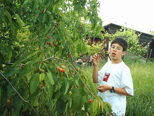 vargaadam92's tweet photo. I am so handsome. my parents can be proud #cherry #pickyourpack #handsome #sexy #cherrypicker #happiness #potter http://t.co/U12dbWlfj3