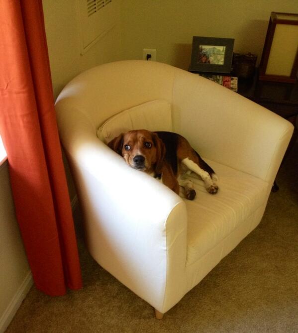 Lazily bird watching