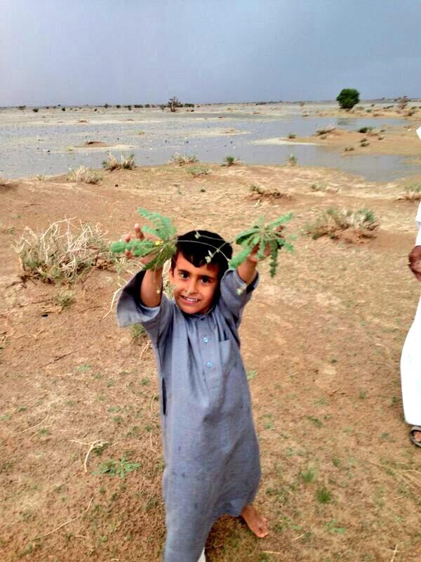 saaxzz2's tweet photo. @moteb_alshgar http://t.co/Fgs7xOvHu7