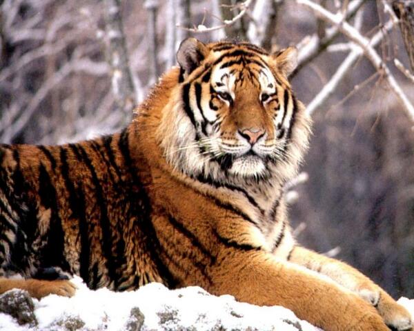 #AdanaTuruncudur Yarın parçalamaya geliyoruz