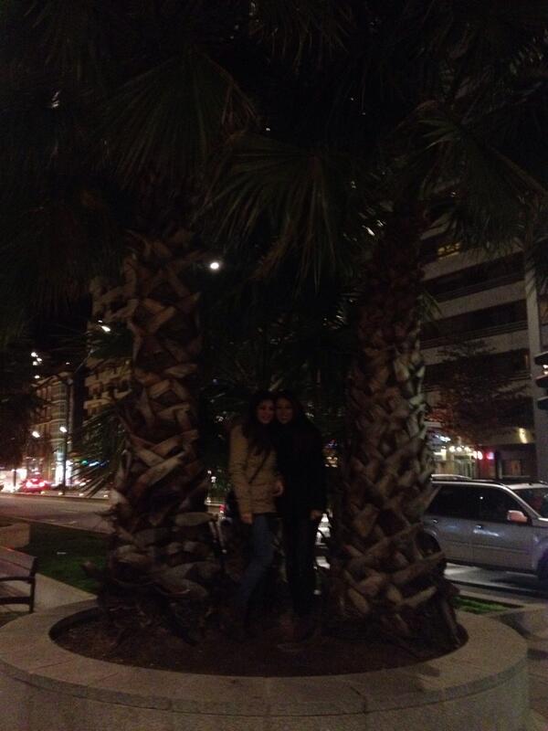 adelinayuli's tweet photo. De palmeras en Logoño con @LidiaTarifa y tamara ta! http://t.co/Ziudt3Bu2L