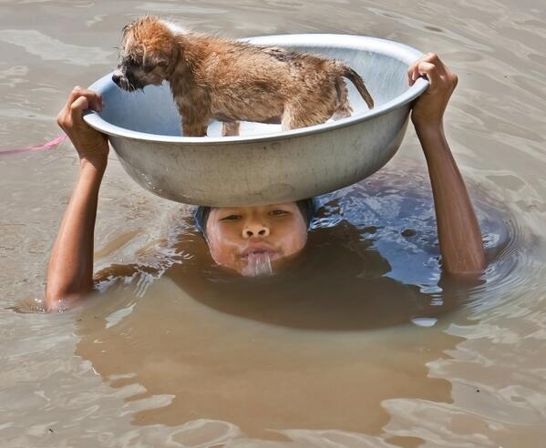 Woman saves #puppy during flood.