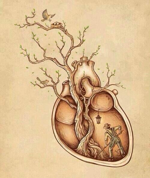 AllOurFeels's tweet photo. 🌿❤️ http://t.co/J0N6XJTmXg