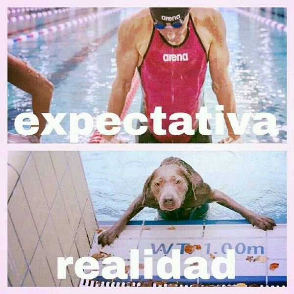 masnatacion's tweet photo. Cuando uno sale de la #alberca!!! #soynadador http://t.co/4MGnahmAke