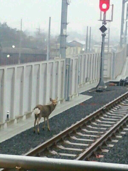 View image on Twitter