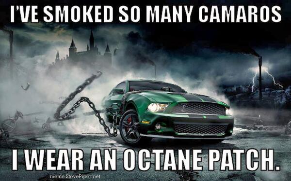 AustinTXFun's tweet photo. Because Mustang http://t.co/3LiUJa7IiM http://t.co/G9zzl7aAEy