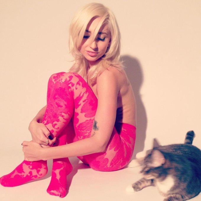 This cat is trying to steal my thunder. http://t.co/Qci7NDAWQF<a href="/tag/snapchat"class="tags"><span>#snapchat</span></a><a href="/tag/seesnaps"class="tags"><span>#seesnaps</span></a>