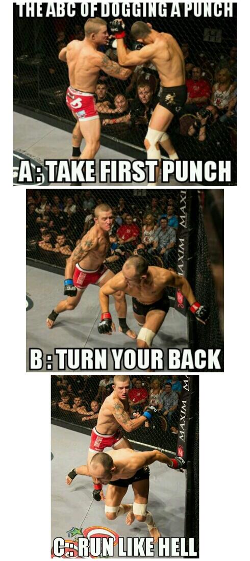 efc meme tweet media