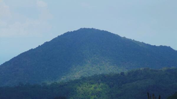 ambe_ose tweet picture