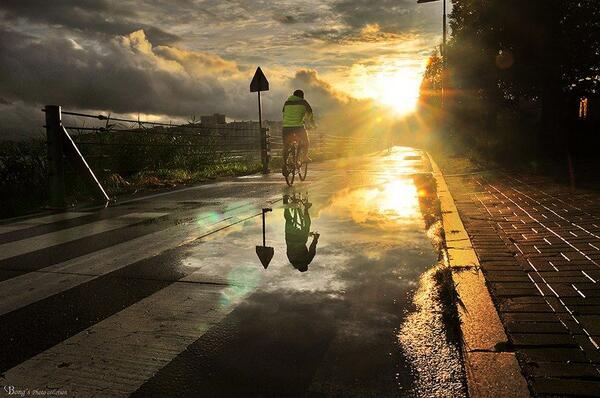 'Way Home' by Kim Keun Bong #sun #sunlight #bycicle