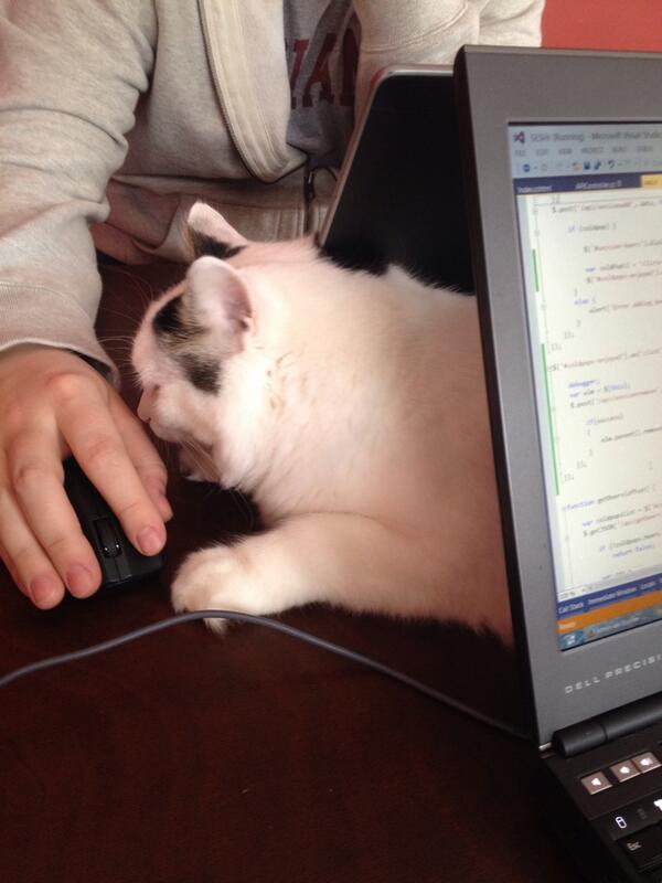 andrew_herrick's tweet image. #thisishowwecode