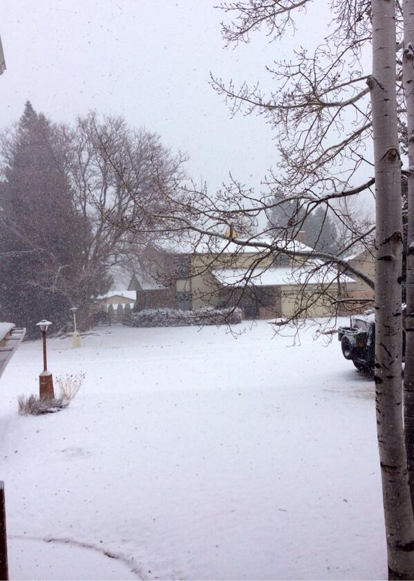 crewmaxinc's tweet image. #snow in #Longmont If you need #snowshoveling #snowplowing or #icemanagement Just call 844-CREW-MAX Thanks &amp;amp; be safe