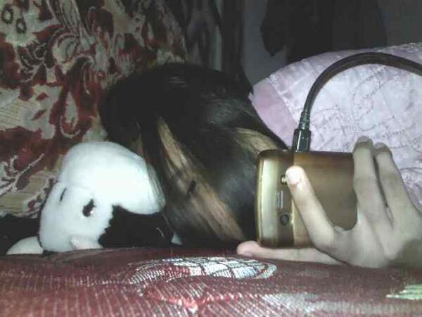 Nur Asrul Malik I Asrul Malik Twitter