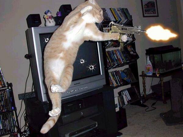 ryanmolemans's tweet photo. freak it out http://t.co/OtZFYFvBIg