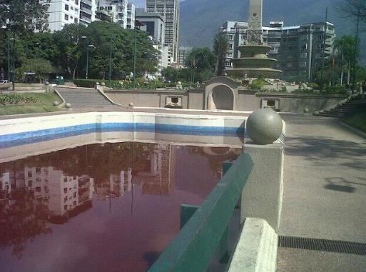Ver imagen en Twitter