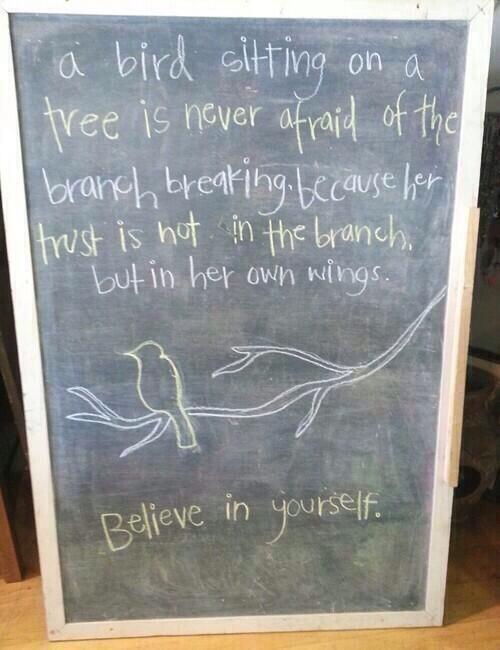 Believe in yourself:) #birdonabranch #trustyourwings