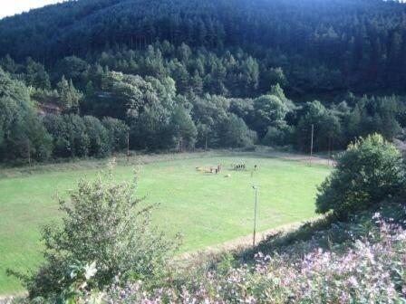 Rhyslyn when access was available and therefore  could be maintained !