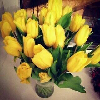 darya564's tweet photo. Красивые ;) http://t.co/O7j0PA1z8K